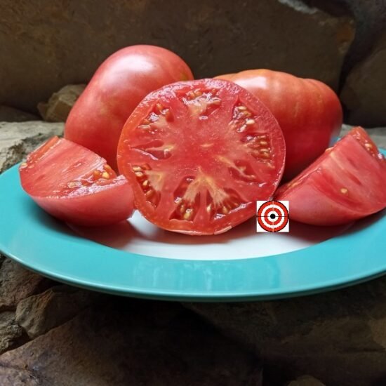 Mortgage Lifter Radiator Charlies Heirloom Tomato