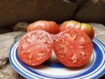 Mortgage Lifter Radiator Charlies Tomato