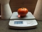 Mountain Spring F2 Beefsteak Tomato