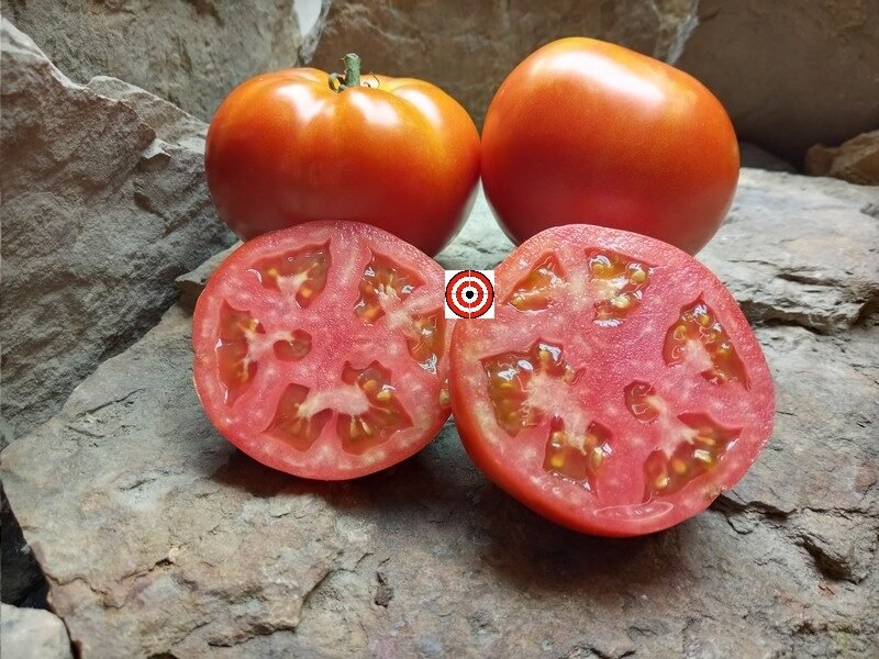 Tomato Garden Seeds- Jet Star Hybrid - 1000 Seeds- Non-GMO, Gardening