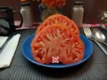 Mrs Maxwells Big Italian Red Tomato