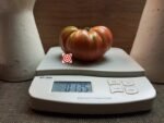 Mrs. Maxwell's Big Italian Tomato