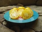 Mystery Lemonade Tomato Seeds
