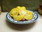 Mystery Lemonade Yellow Tomatoes