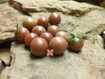 Negro Azteka Tomato Seeds,