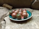 Negro Azteka Tomatoes