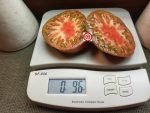 Negro De Sequene Tomato Seeds