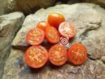 New Yorker Cherry Tomato