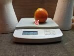 New Yorker Sauce Tomato