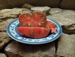 Noah Stripes Dwarf Tomato Seeds