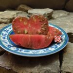 Noah Stripes Dwarf Tomato Seeds