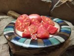 O Riely's Best Tomato