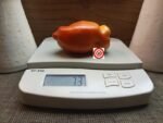 Opalka Red Tomato