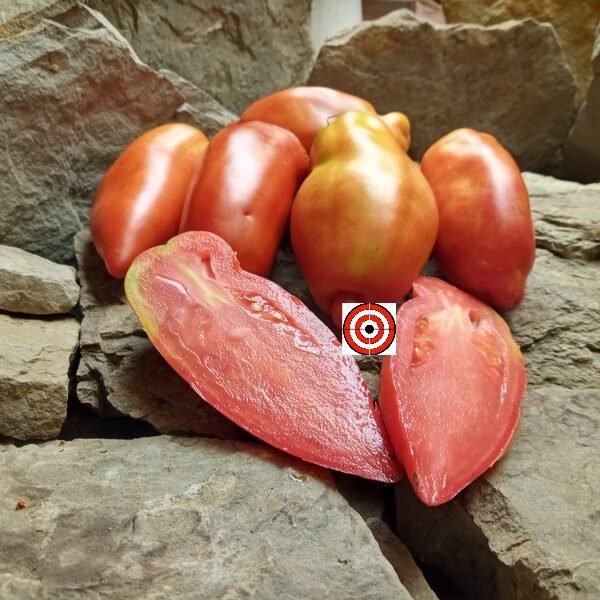 Opalka Tomato