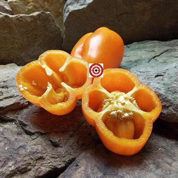 Orange Bell Pepper