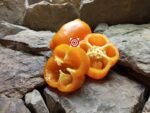 Orange Bell Pepper - Image 2