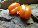 Orange Bell Pepper - Image 4