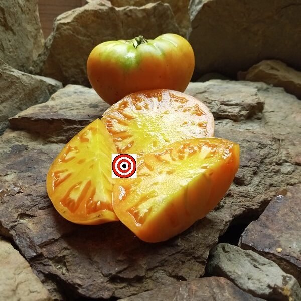 Orange Crush Tomato