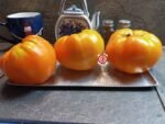 Orange Strawberry Tomato