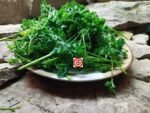 Deep Forest Parsley - Image 4