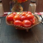 Dwarf Sweet For The Children Tomatoes