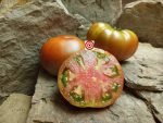 Dwarf Tasmanian Chocolate Tomatoes