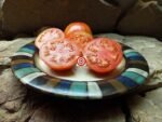 Tomato New Yorker Tomato