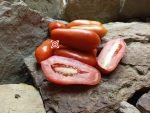Tomato San Marzano Tomato