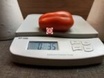 Tomato Sausage Tomato