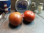 Tomato Southern Night Tomato