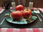 Tomato The Dutchman Tomato
