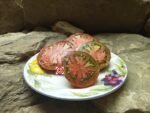 Perth's Pride Dwarf Tomato