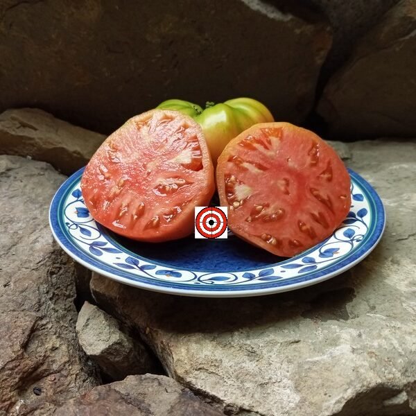 Peter Glazebrook's Tomato