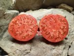 Pietrone Di Malgrate Tomato seeds