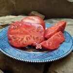 Pietrone Di Malgrate Tomato