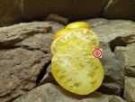 Pineapple Pig Tomato Seeds