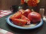 Pink Church House Beefsteak Tomato