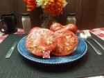 Pink Church House Large Tomato