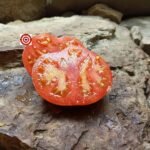 Pink Furry Boar Tomato