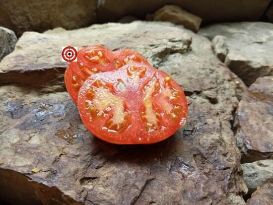 Pink Furry Boar Tomato