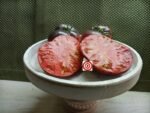 Pink Siberian Tiger Tomato