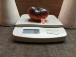 Pink Siberian Tiger Pink Tomato