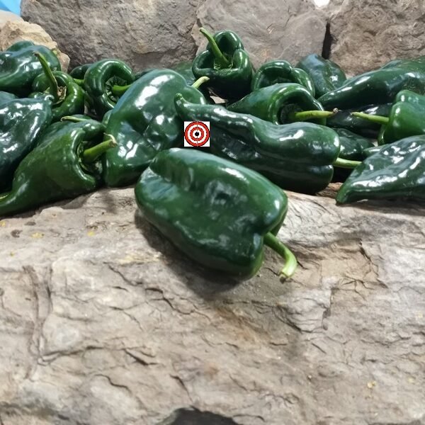 Ancho Poblano Pepper