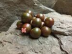 Purple Bumble Bee Tomato