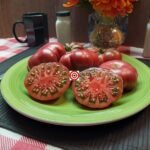 Purple Calabash Tomato