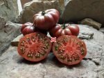 Purple Calabash Tomato Seeds