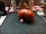 Purple Calypso Tomato