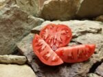 Purple Calypso Tomato by Dean Slater