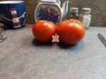 R.G Tomato