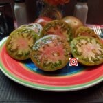 Radinilee Dwarf Tomato